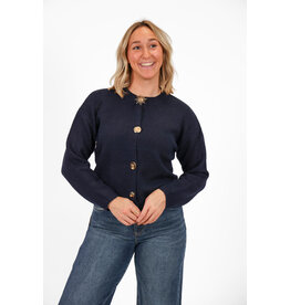 21Jewelz Trui met verschillende gouden knopen - blauw