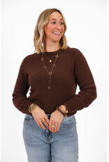 21Jewelz Effen basic truitje met lange mouw - donkerbruin