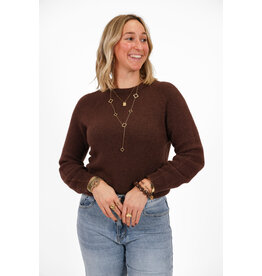 21Jewelz Effen basic truitje met lange mouw - donkerbruin