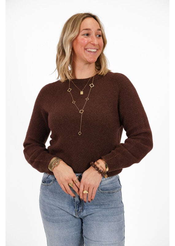 21Jewelz Effen basic truitje met lange mouw - donkerbruin