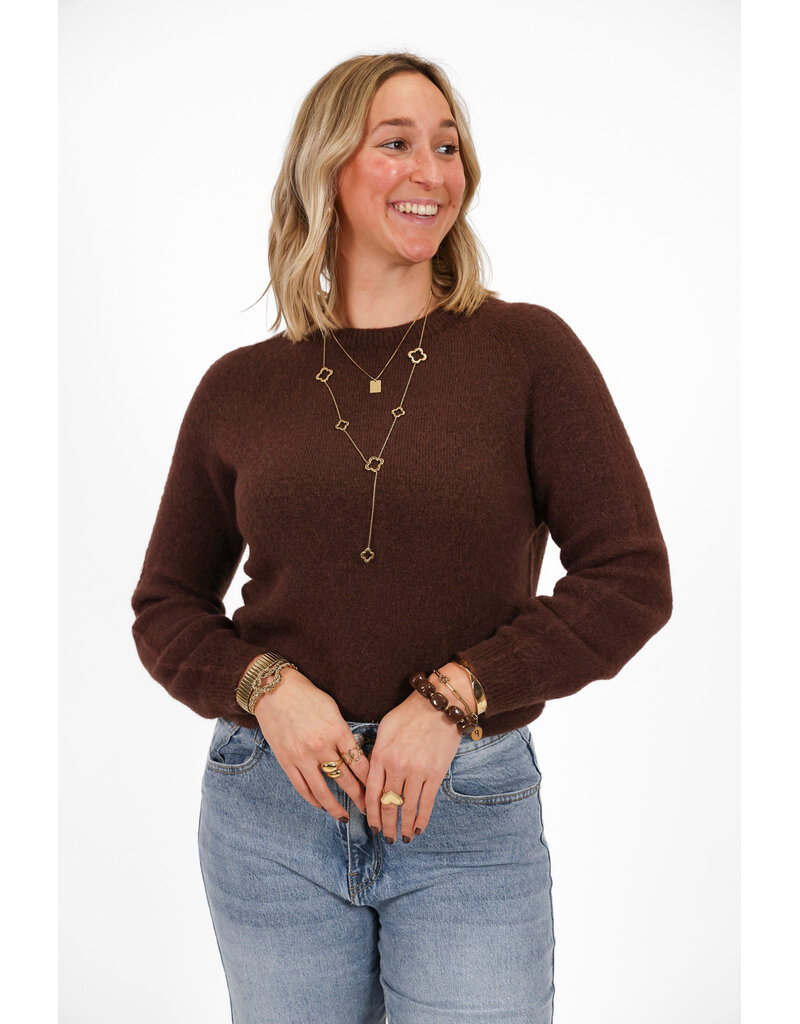 21Jewelz Effen basic truitje met lange mouw - donkerbruin