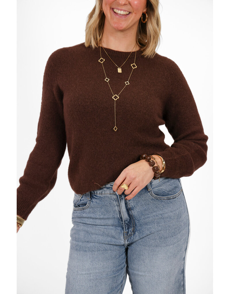 21Jewelz Effen basic truitje met lange mouw - donkerbruin