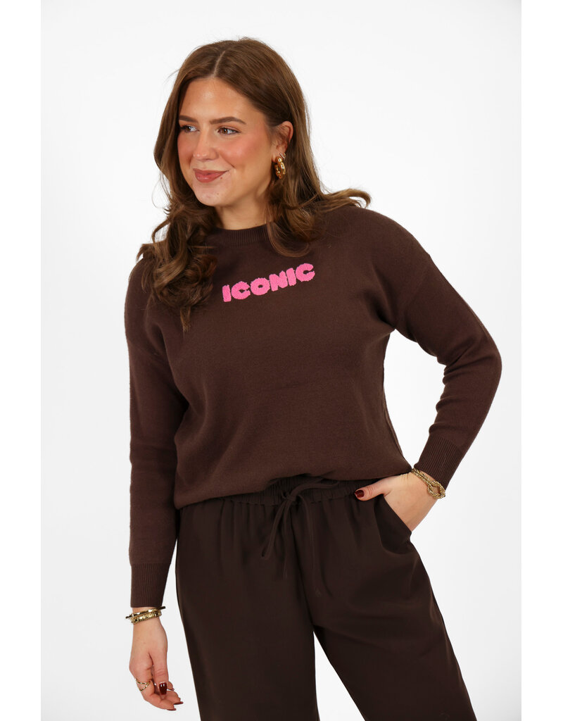 21Jewelz Sweater Iconic - bruin