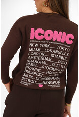 21Jewelz Sweater Iconic - bruin