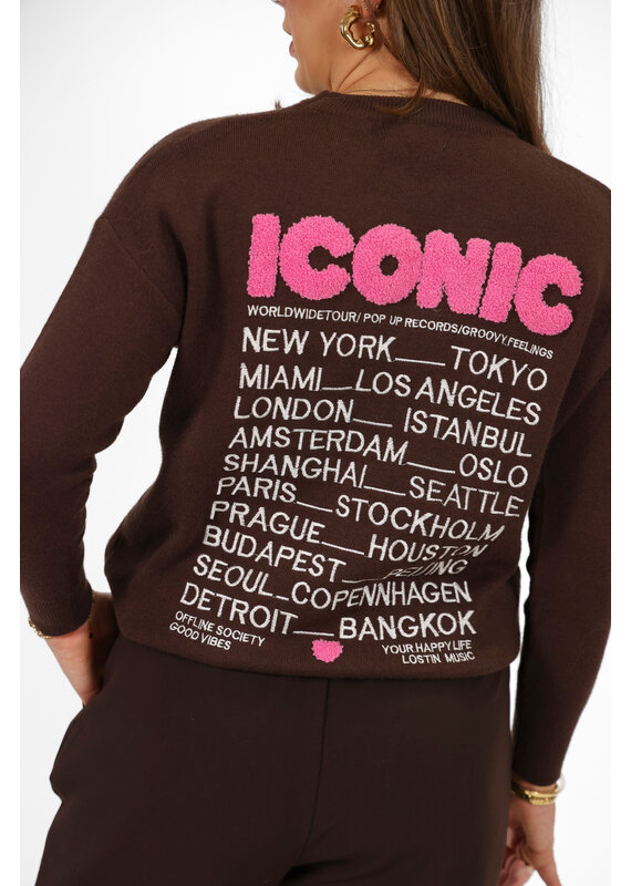 21Jewelz Sweater Iconic - bruin