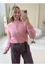 21Jewelz Aansluitende kanten top met bloemenstructuur - roze