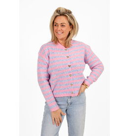 21Jewelz Gestreept vestje - roze/blauw