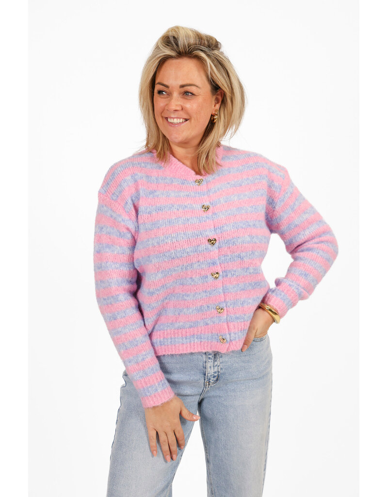 21Jewelz Gestreept vestje - roze/blauw