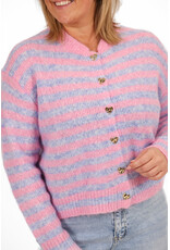 21Jewelz Gestreept vestje - roze/blauw