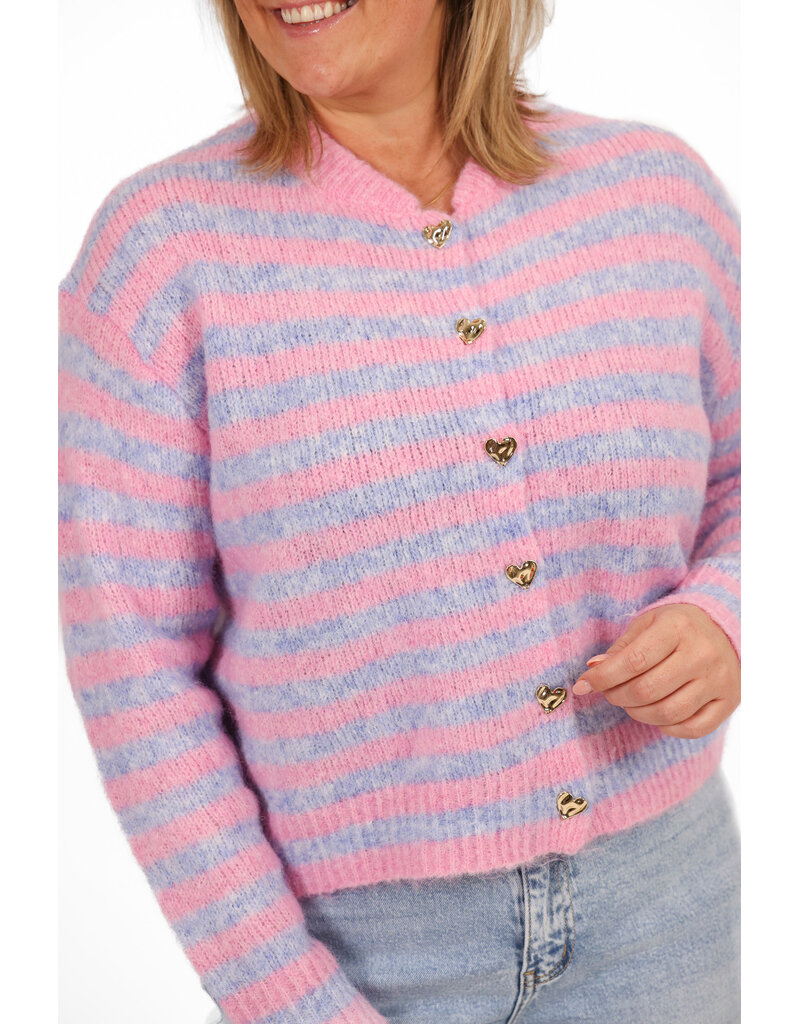 21Jewelz Gestreept vestje - roze/blauw