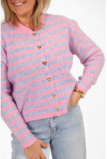 21Jewelz Gestreept vestje - roze/blauw