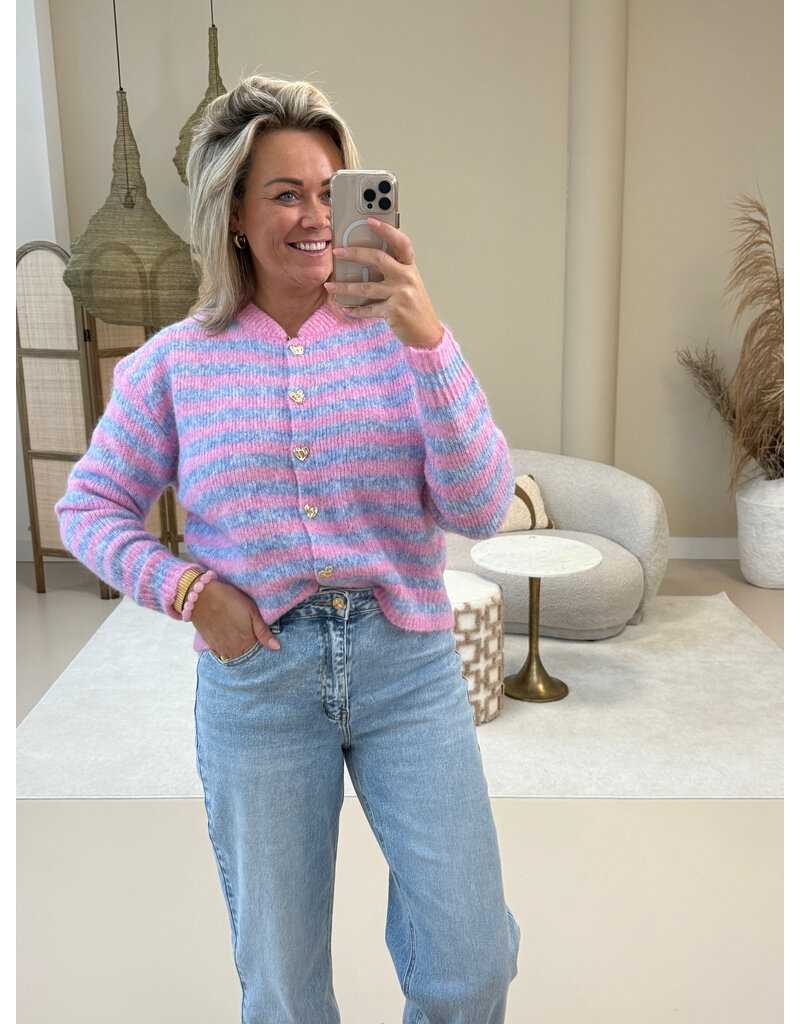 21Jewelz Gestreept vestje - roze/blauw