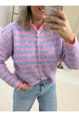21Jewelz Gestreept vestje - roze/blauw