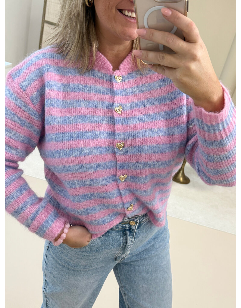 21Jewelz Gestreept vestje - roze/blauw