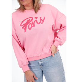 21Jewelz Sweater Paris - roze
