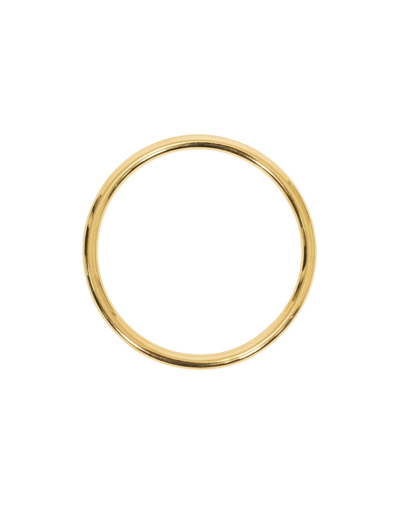 21Jewelz Basic bangle - goud