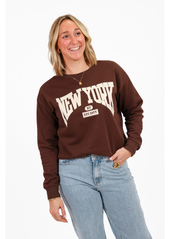 21Jewelz New York sweater - bruin/beige