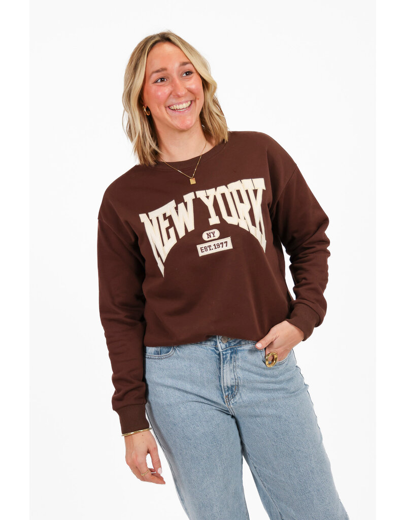 21Jewelz New York sweater - bruin/beige