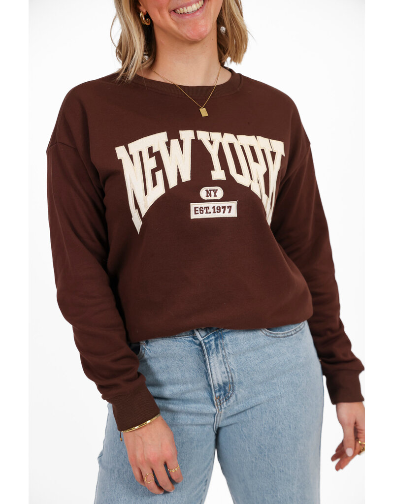 21Jewelz New York sweater - bruin/beige