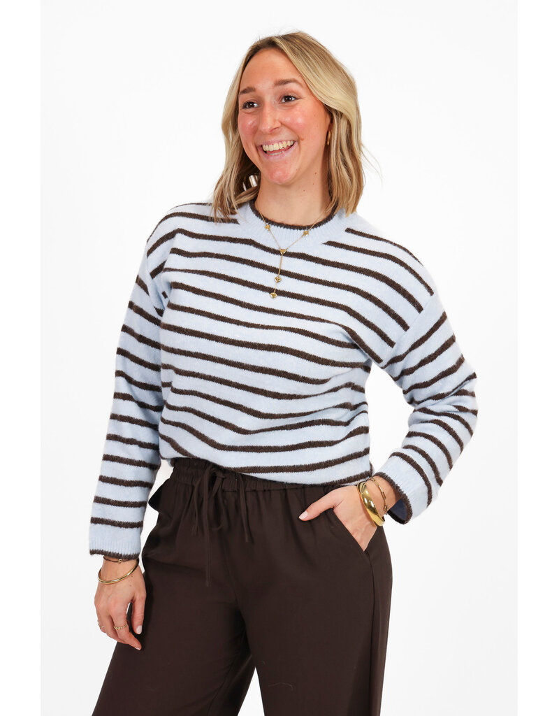 21Jewelz Trui met strepen - blauw/bruin