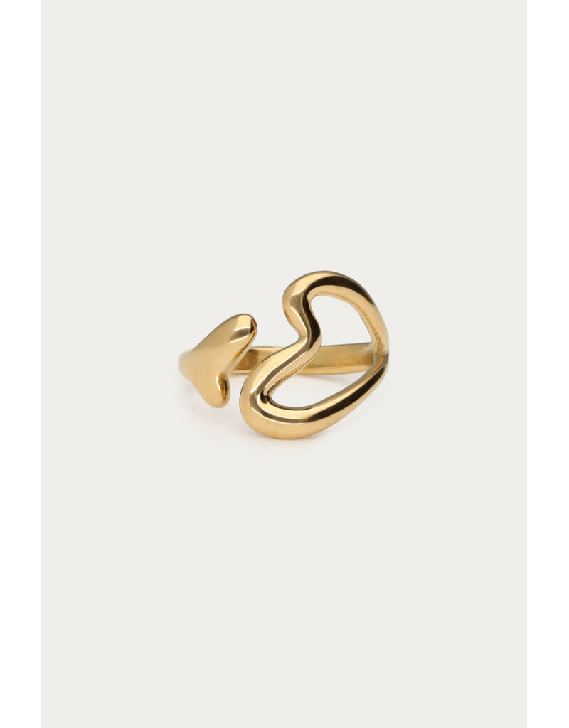 My Jewellery My Jewellery | Statement ring twee hartjes
