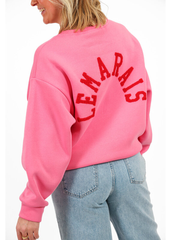 21Jewelz Sweater le marais - roze