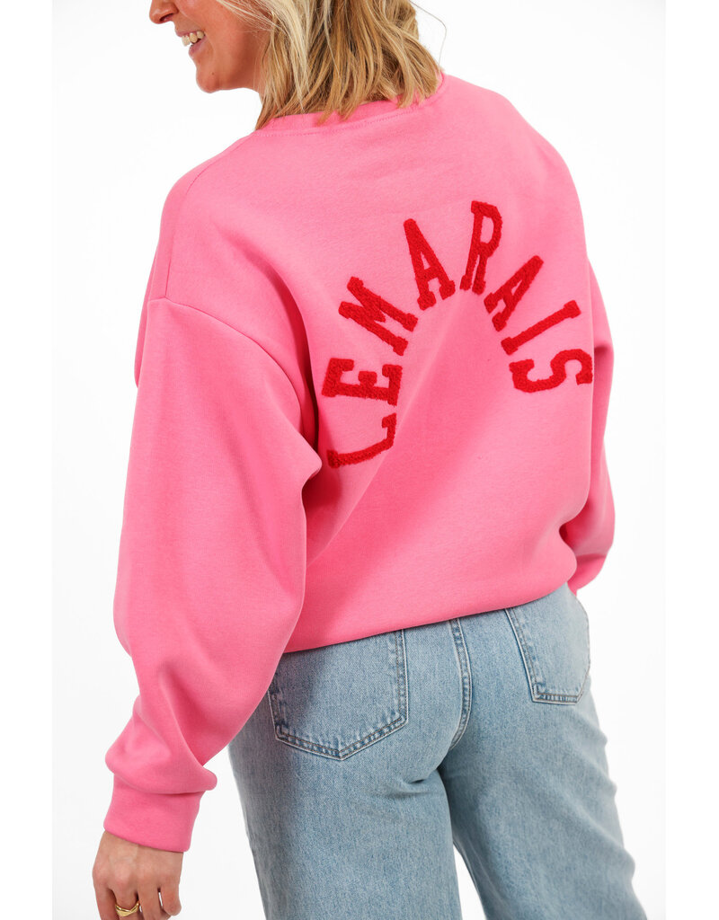 21Jewelz Sweater le marais - roze
