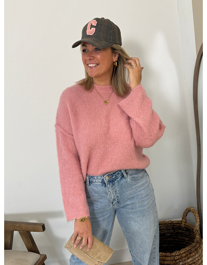 21Jewelz Pet met teddy C embleem - geruit