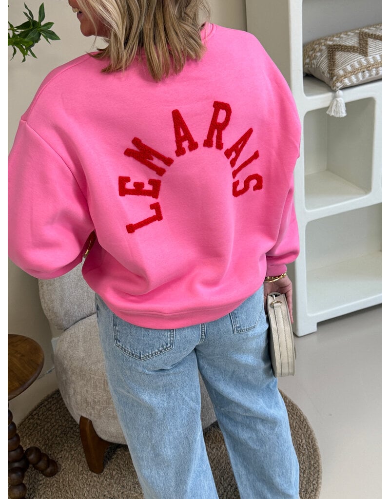 21Jewelz Sweater le marais - roze
