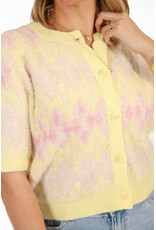 21Jewelz Wollig vestje met patroon - geel/roze