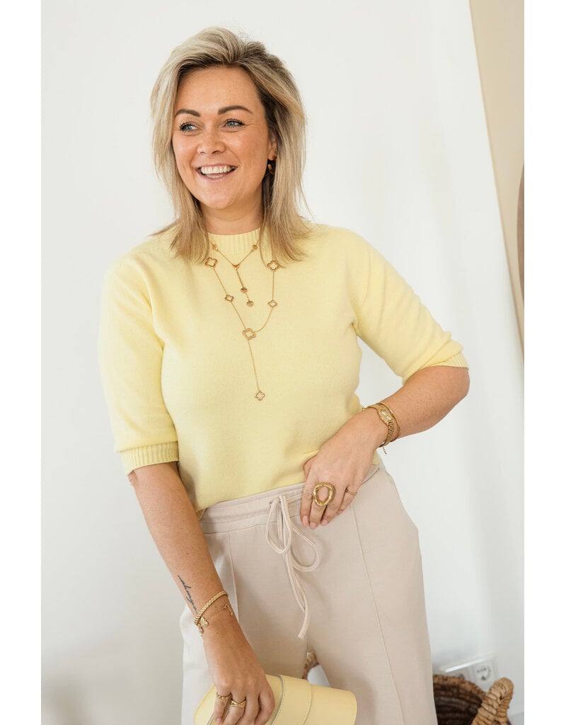 21Jewelz Fijn gebreid truitje met korte mouw - geel