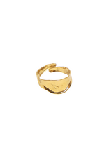 21Jewelz Ring met organische vorm