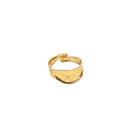 21Jewelz Ring met organische vorm