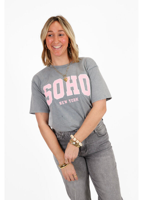 Soho t-shirt - grijs/roze