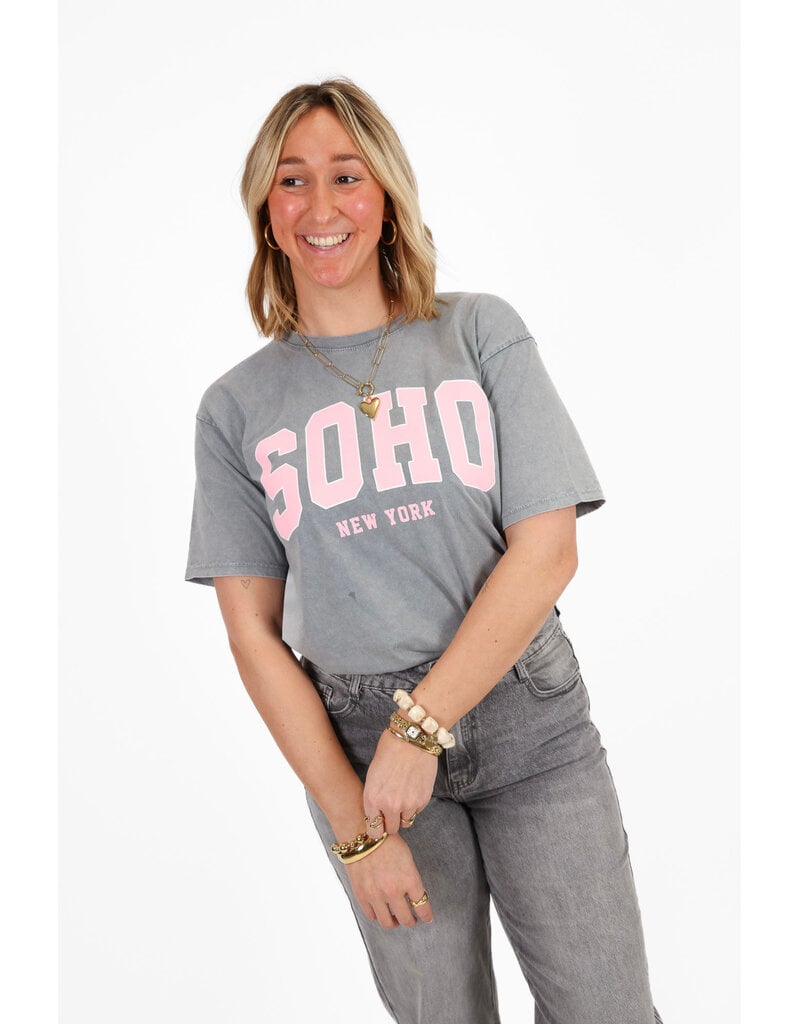 Soho t-shirt - grijs/roze