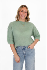 21Jewelz Losvallend wollig truitje met korte mouw - lichtgroen