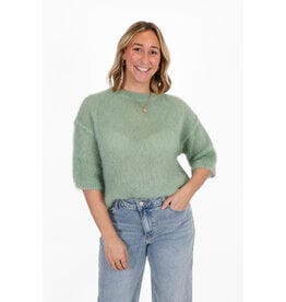 21Jewelz Losvallend wollig truitje met korte mouw - lichtgroen