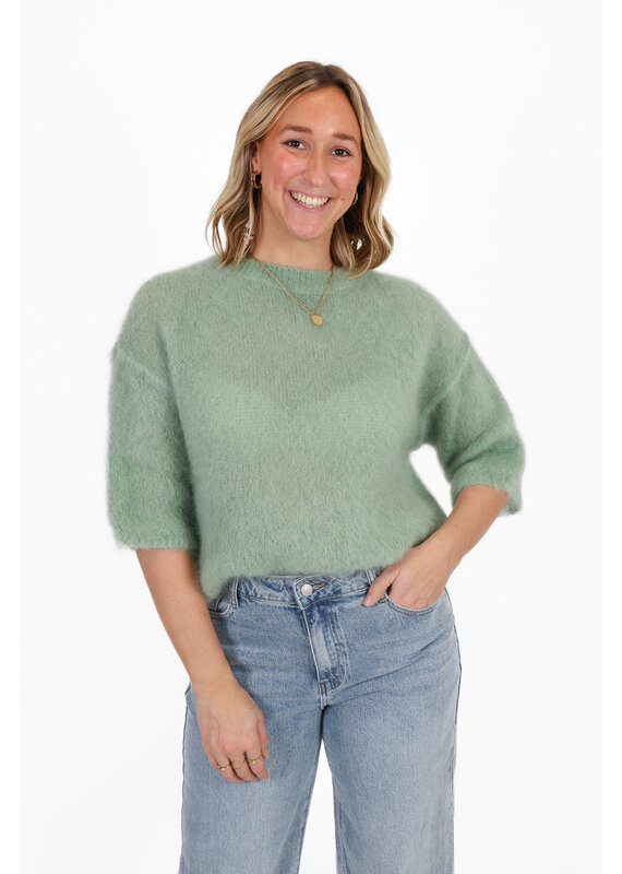 21Jewelz Losvallend wollig truitje met korte mouw - lichtgroen