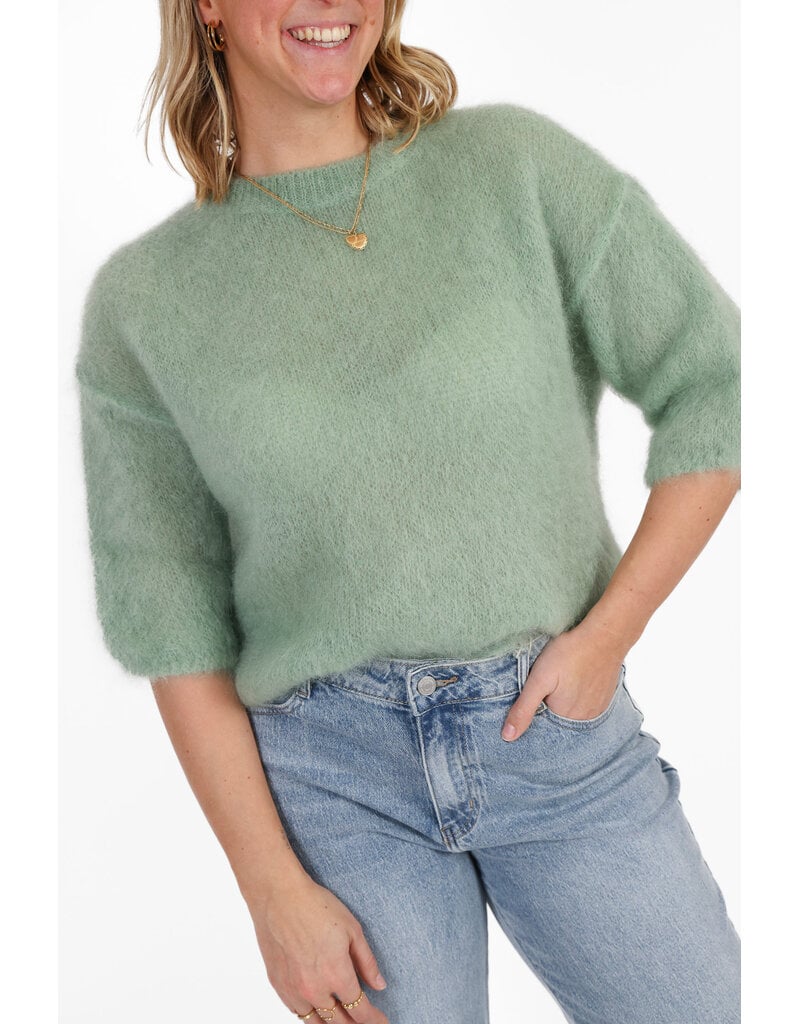 21Jewelz Losvallend wollig truitje met korte mouw - lichtgroen