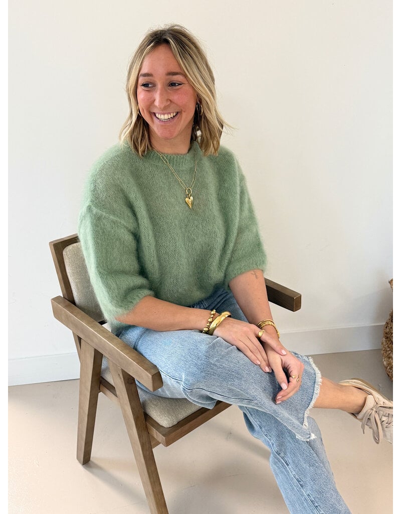 21Jewelz Losvallend wollig truitje met korte mouw - lichtgroen