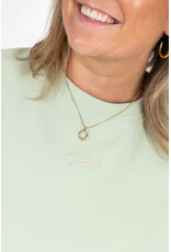 21Jewelz Boxy shirt met tekst "Ciao" - lichtgroen