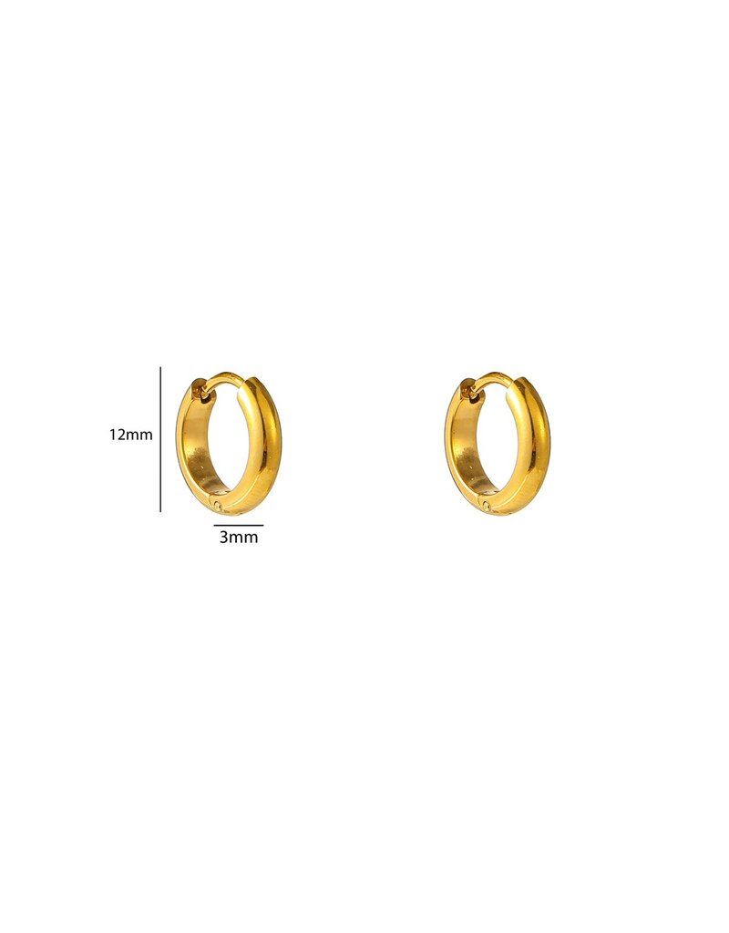 Go Dutch Label D&E - Essential hoop 3mm x 9mm - goud