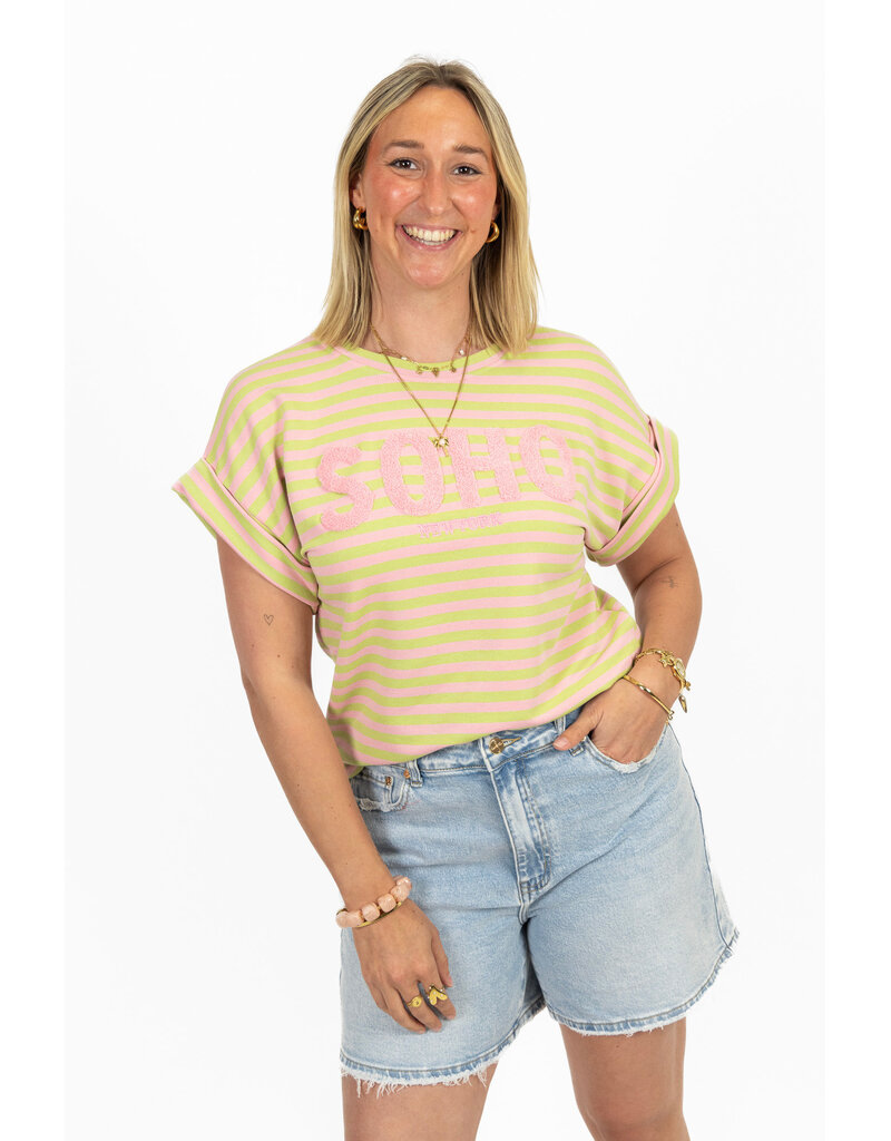 21Jewelz Gestreepte top "SOHO" - lichtroze/groen