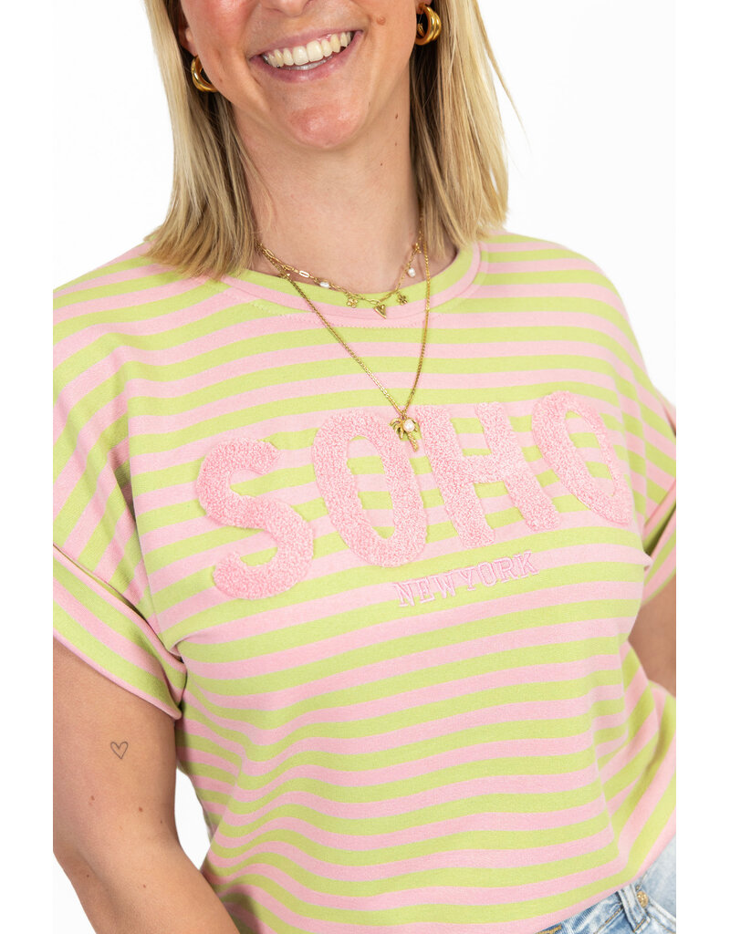 21Jewelz Gestreepte top "SOHO" - lichtroze/groen