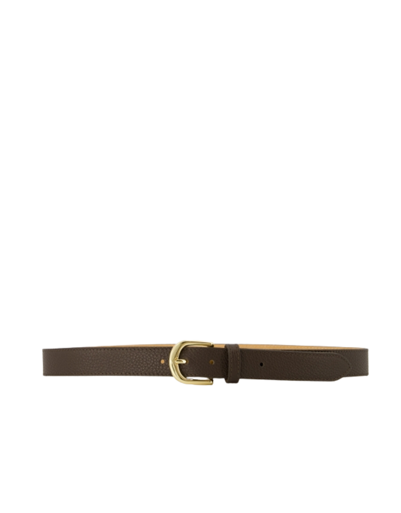 21Jewelz Musthave gold detailed riem - donkerbruin