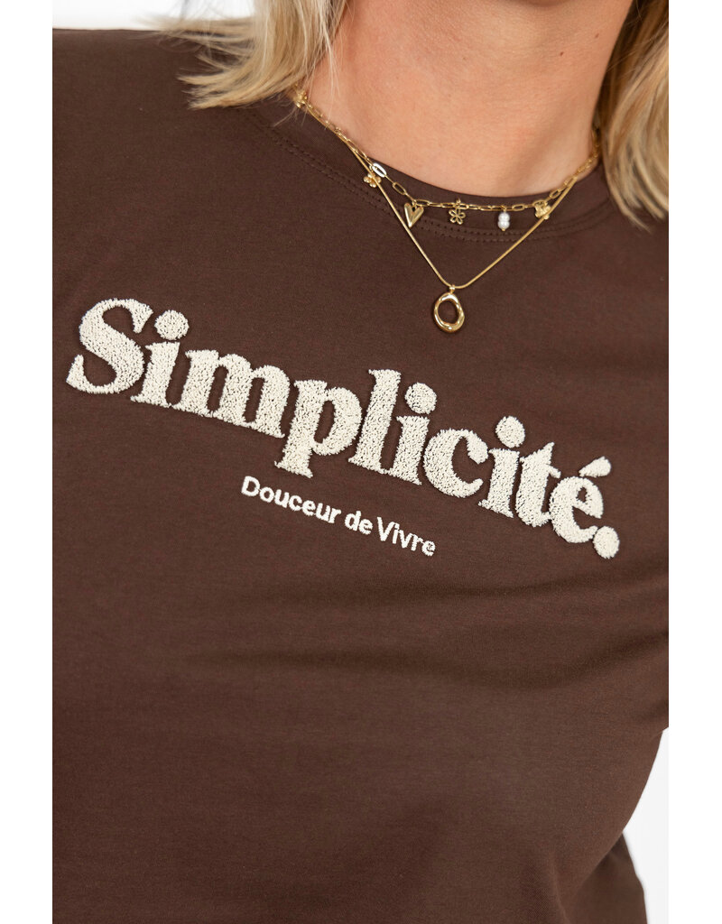 21Jewelz T-shirt "Simplicité" - bruin/beige