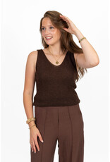 21Jewelz Glitter top met v-hals - bruin