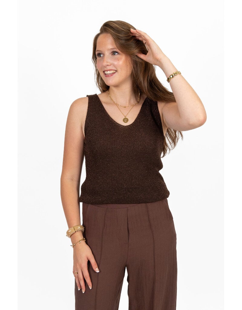 21Jewelz Glitter top met v-hals - bruin