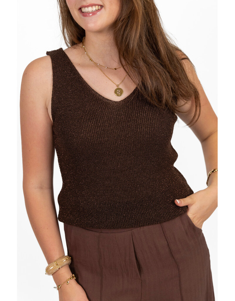 21Jewelz Glitter top met v-hals - bruin