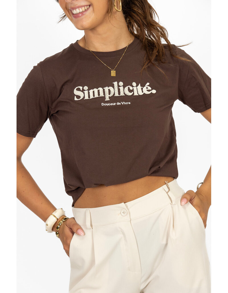 21Jewelz T-shirt "Simplicité" - bruin/beige